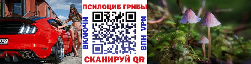 блэк спрут сайт  Карасук  Галлюциногенные грибы мицелий 